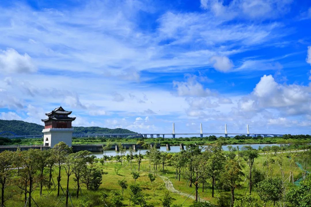 1733473804203986.jpg 3.jpg